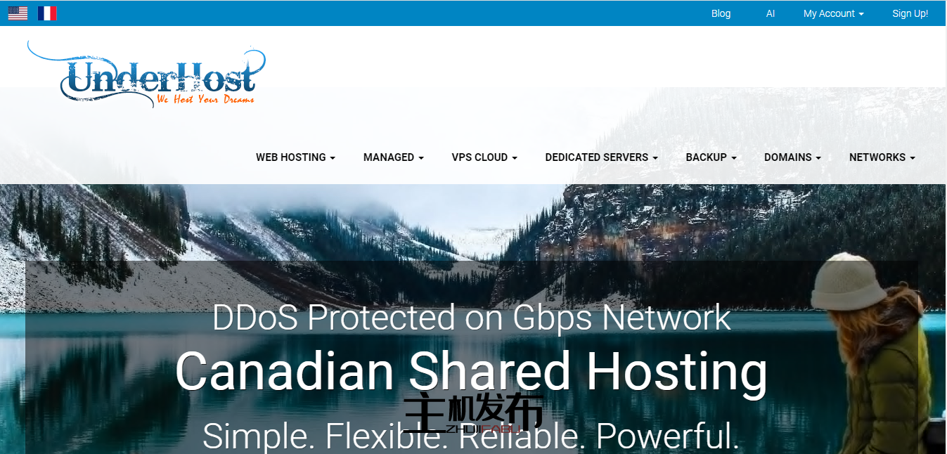 *最便宜的强大专用服务器仅需 100 美元起,cPanel 和管理服务已准备就绪!!