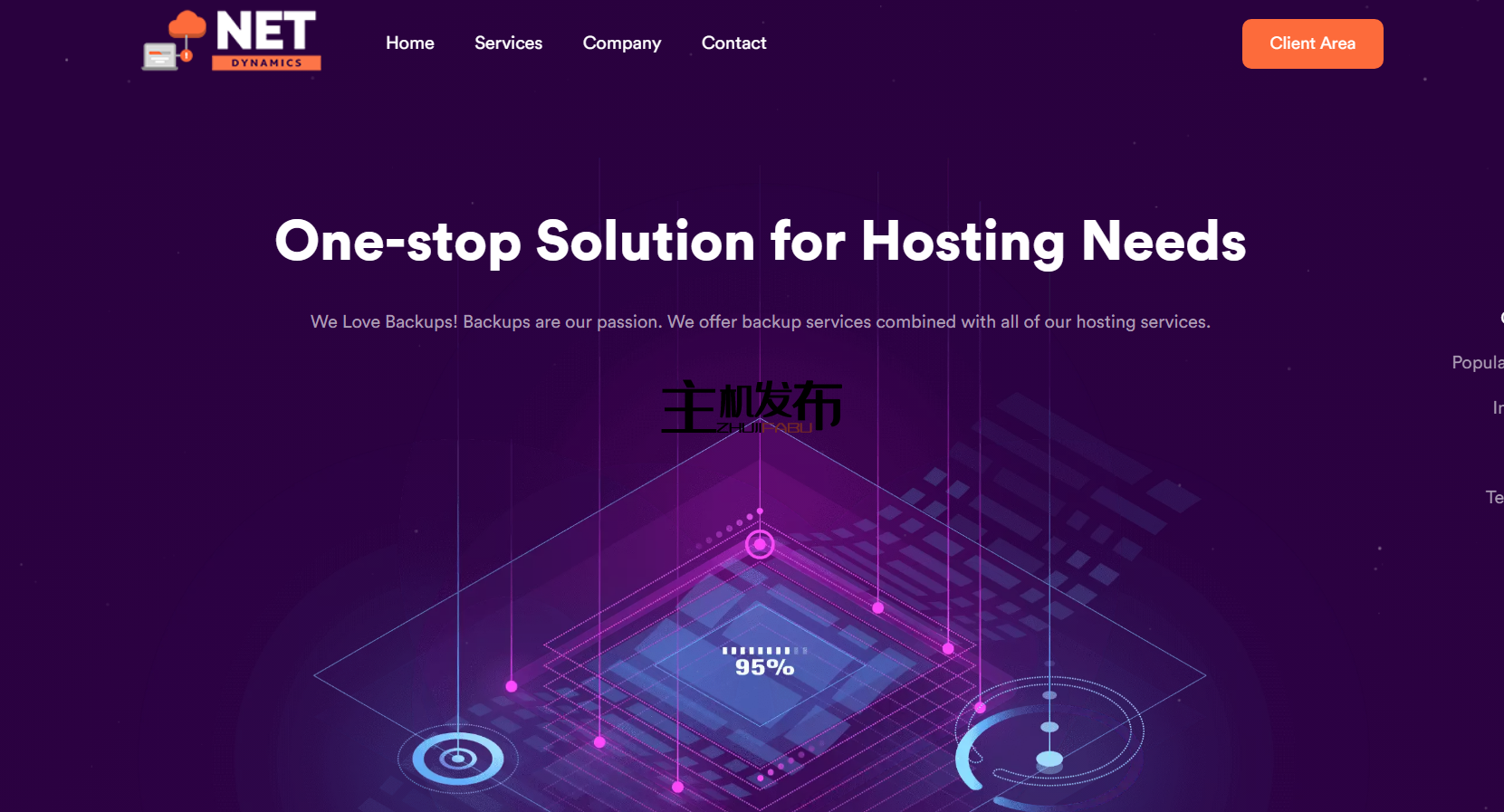 *存储专用服务器 48 TB 仅需 65 美元/月 | NetDynamics LLC