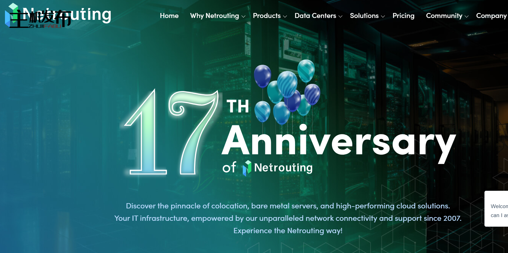 Netrouting | 大幅折扣的黑色星期五裸机服务器套餐促销