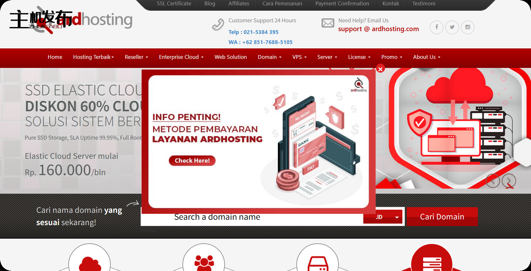 *最便宜的强大专用服务器仅需 100 美元起，cPanel 和管理服务已准备就绪！！