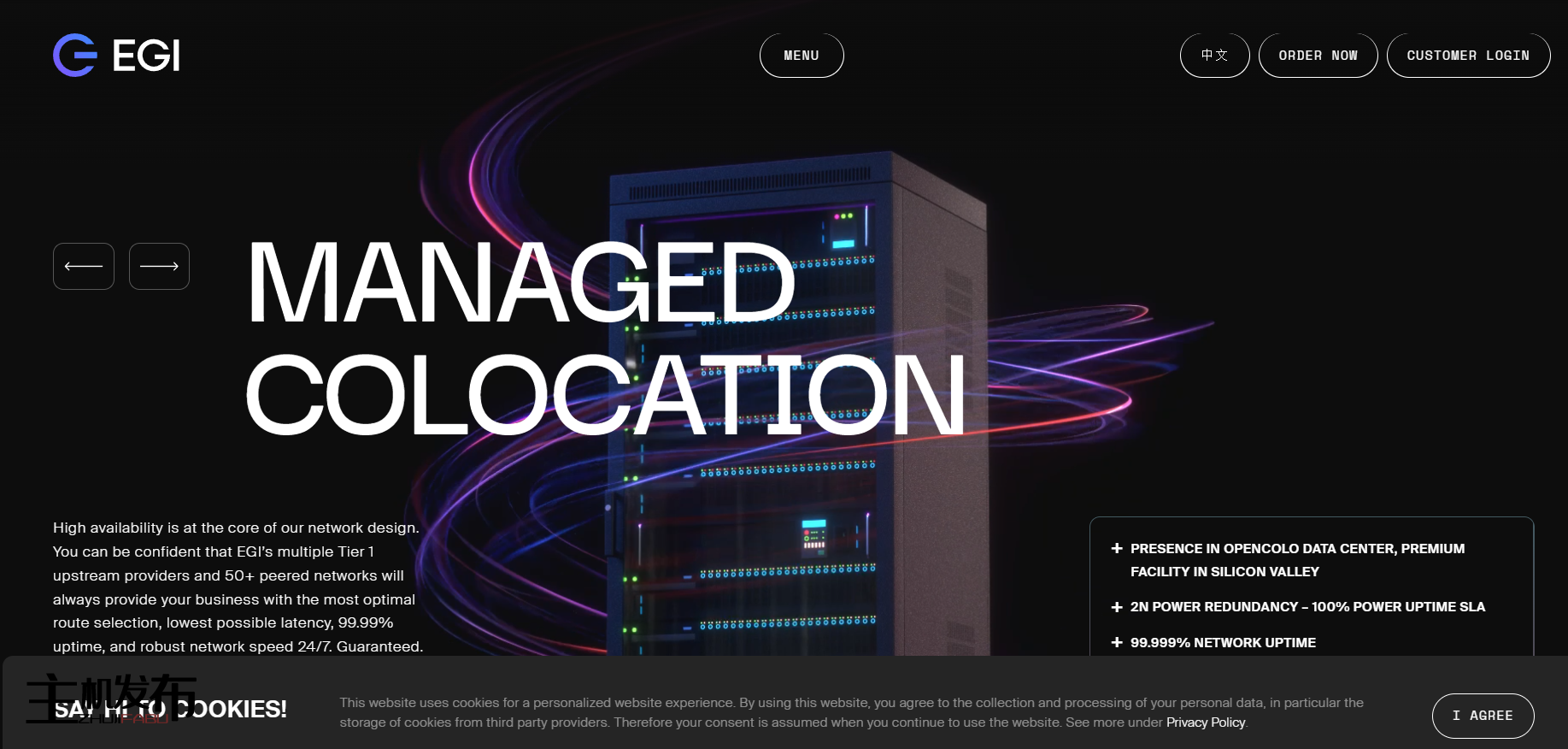 主题: ♥ HPC 特别节目: EGI 托管 CA - 44 核 - 512GB RAM - 1Gbps 无限 ♥ 8TB SSD